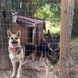 Meet your Posher, Jasmin